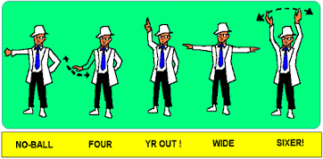 Umpire image.png